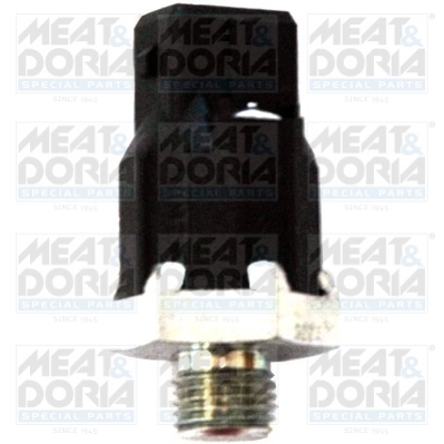 Knock Sensor